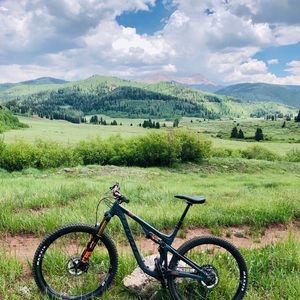 Meet your Posher, Dicky